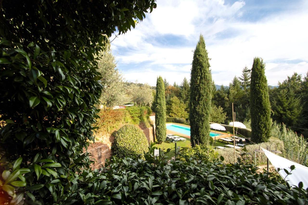 Casetta di Butia, Glicine Apartment Borgo a Mozzano Esterno foto