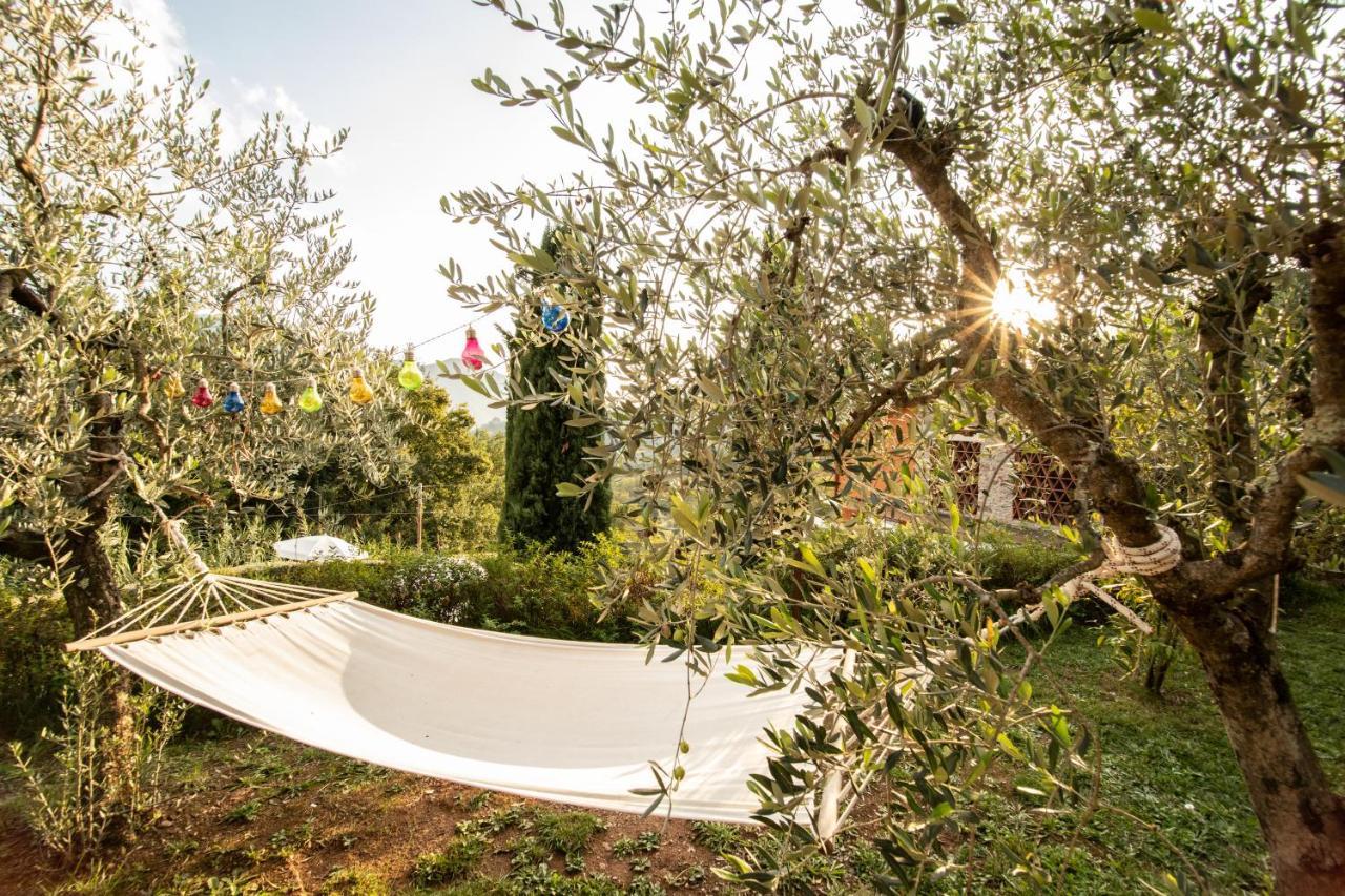 Casetta di Butia, Glicine Apartment Borgo a Mozzano Esterno foto