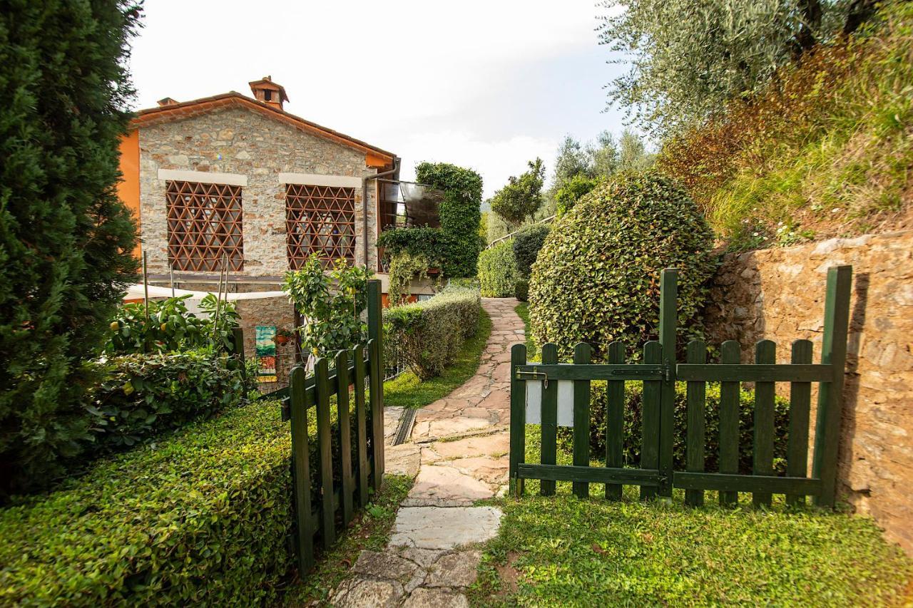 Casetta di Butia, Glicine Apartment Borgo a Mozzano Esterno foto